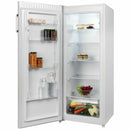 CHIQ Single Door Full Refrigerator 205L  CSR205DW