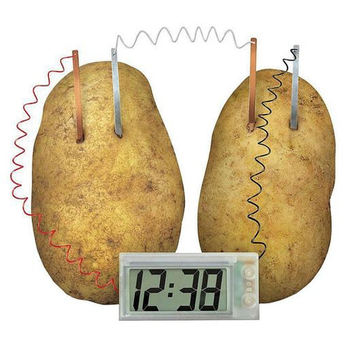 TECH BRANDS KJ8937 Potato Powered Clock