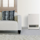 Rinnai 561FT Energysaver Natural Gas Heater K561FTN in a living room