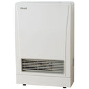 Rinnai K309FTN EnergySaver Flued Natural Gas Heater with Flue Kit